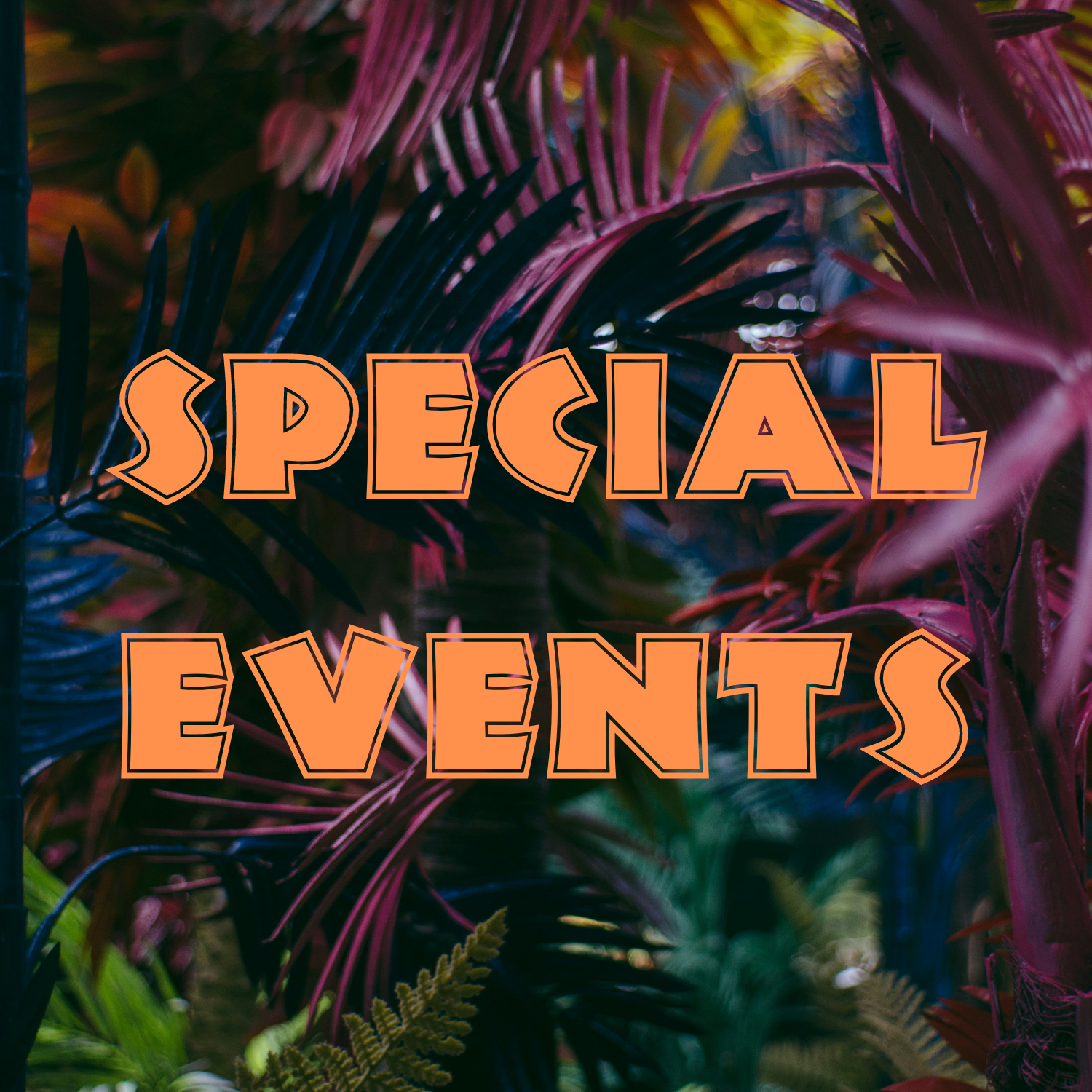 Special Events